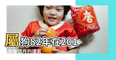 屬狗住宅方位|【82年屬狗風水樓層】82年屬狗買房子方位注意規避一些不吉方。